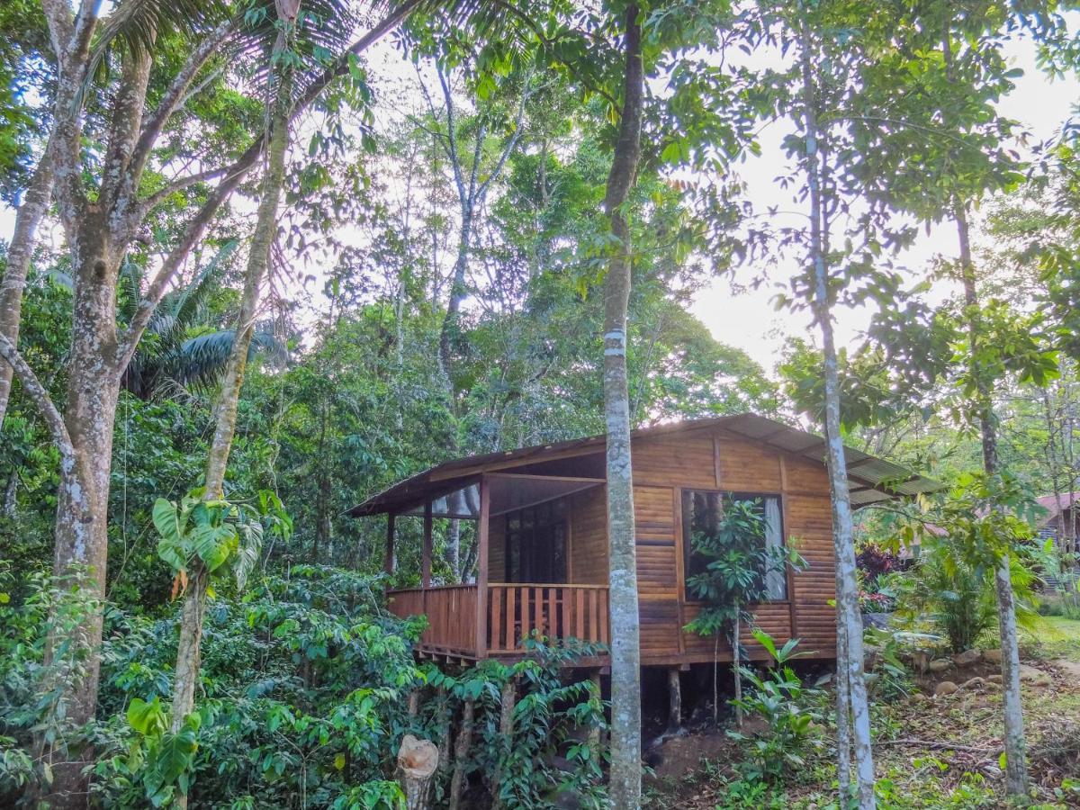 Villa Celeste Katira Rio Celeste Экстерьер фото